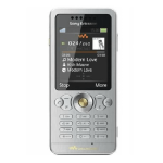 W302c